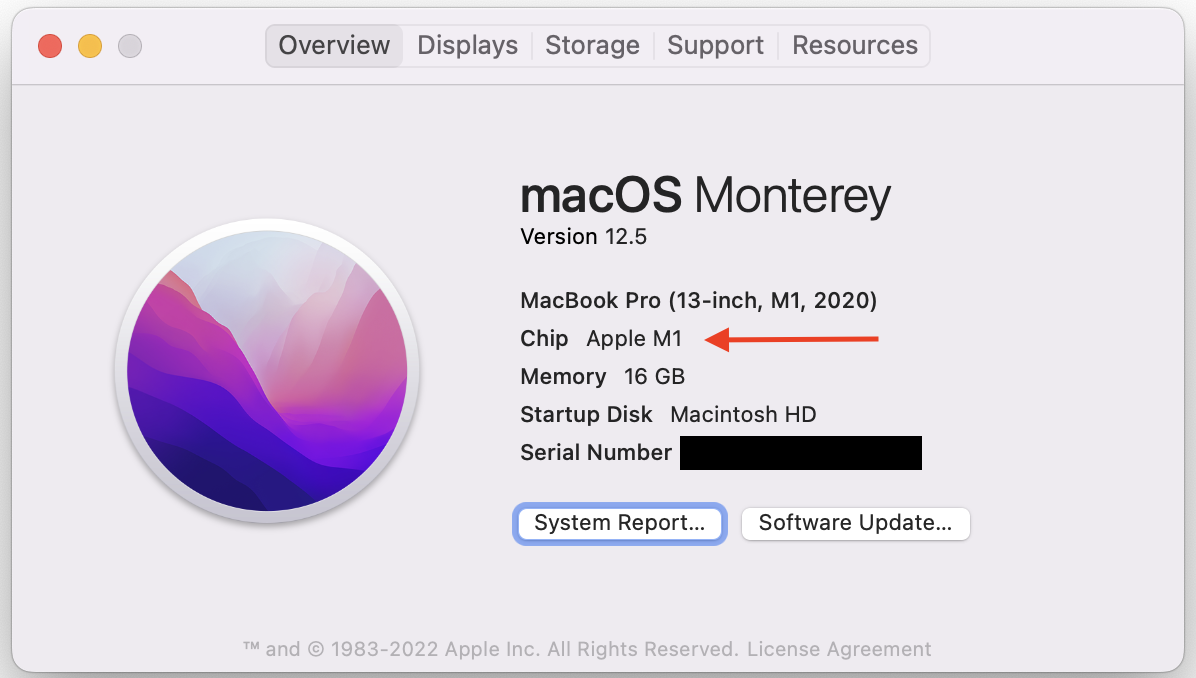 A screenshot of the Mac System report > overview page.