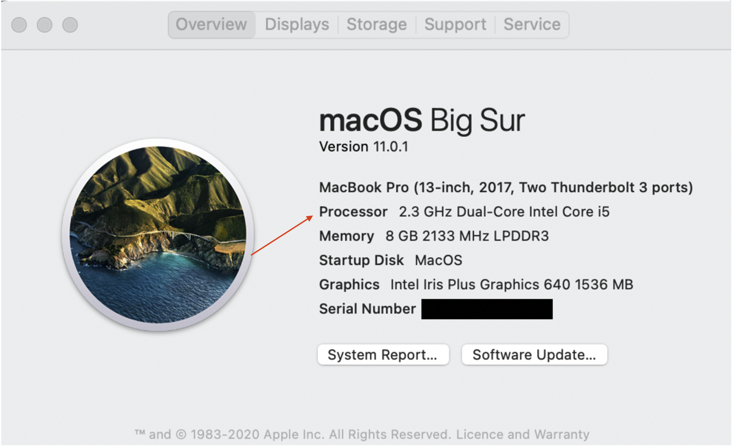 A screenshot of the Mac System Report > Overview pane on an Intel-based Mac.